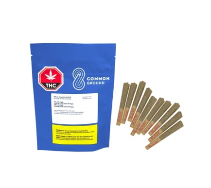 Purple Gas Pre-Rolls - Purple Gas 10 X 0.5G